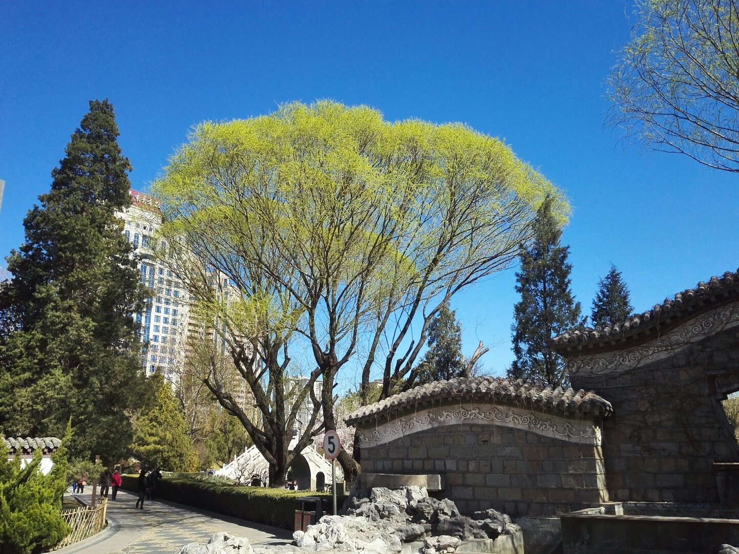 朝阳区东大桥换纱窗