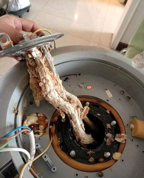 固安周师傅专业清洗电热水器