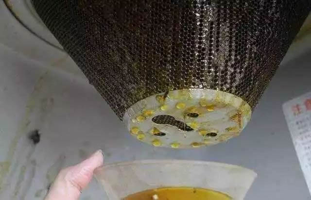 油烟机的滤网如果不经常清洗，就会糊上一层厚厚的油垢