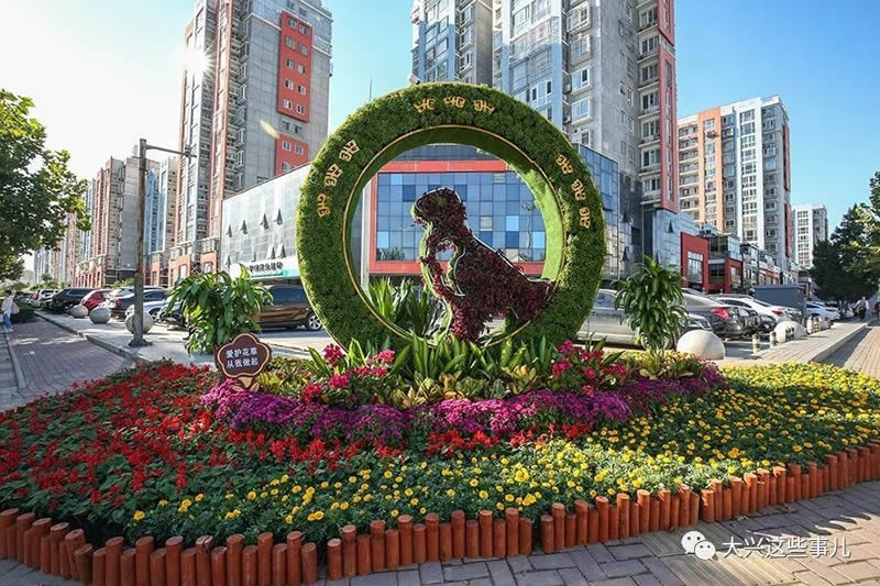 兴丰大街附近家电清洗