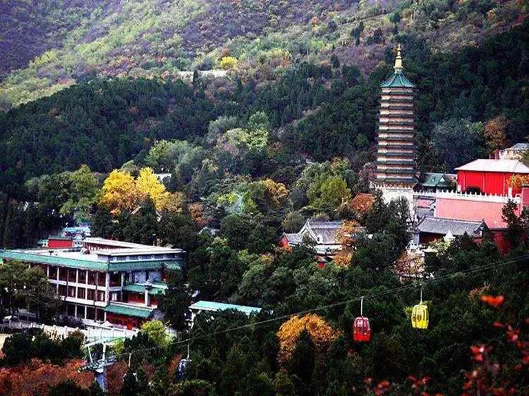 苹果园附近家电清洗